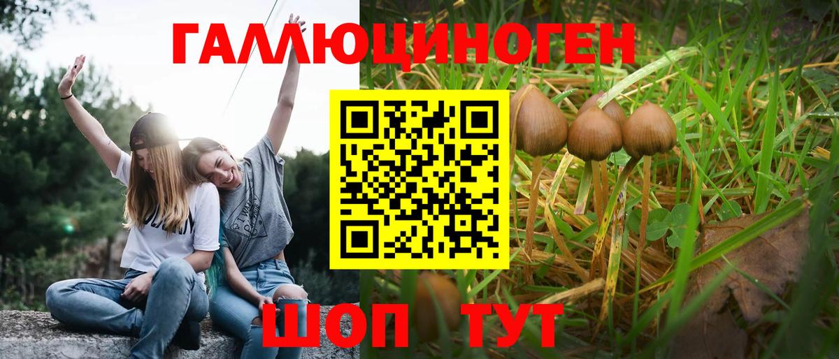 Ишимбай  Псилоцибиновые грибы Magic Shrooms  Вход с VPN 